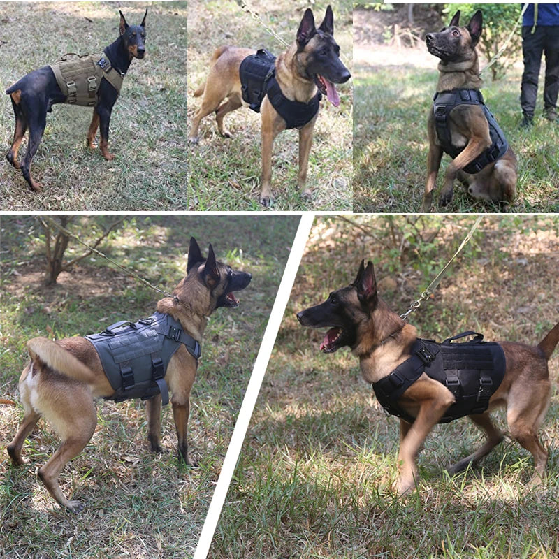 Ultimate K9 Tactical Gear